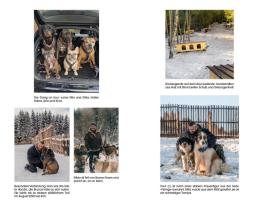 @thegodfatherofdogs, Bruno Jelovic, Nicole Maibaum: Der Hundebeschützer 