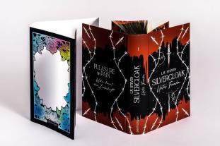 Maike Hallmann, L. K. Steven, L.K. Steven: Silvercloak - Unter Feinden 