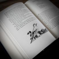 Cornelia Funke: Tintenwelt 3. Tintentod 