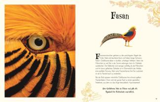 Ben Hoare, Daniel Long, Angela Rizza, Eva Sixt, Daniela Terrazzini, DK Verlag - Kids: Wundervolle Welt der Tiere 