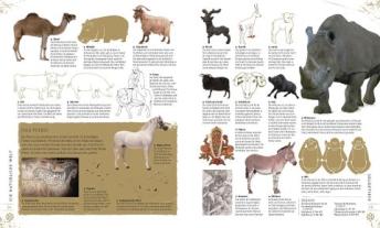 Ian Harrison, James Harrison, Sally Regan, Anna Southgate, Amber Tokeley, DK Verlag: Zeichen und Symbole 