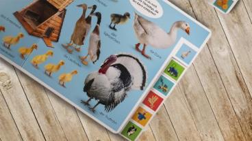 DK Erstes Lernen, DK Verlag - Kids: Erstes Lernen. Wörter 