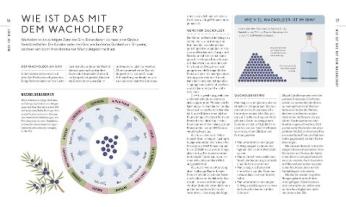 DK Verlag, Anthony Gladman: Workshop Gin 