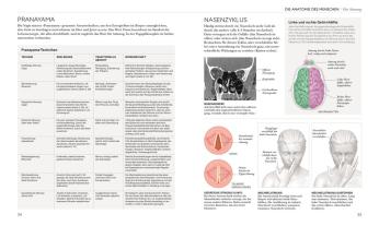 Wiebke Krabbe, Silke Schütze, DK Verlag, Ann Swanson: Yoga verstehen - Die Anatomie der Yoga-Haltungen 