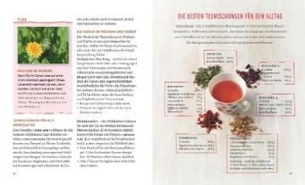 Georg Soldner, Michael Stellmann: Kinderkrankheiten natürlich behandeln 