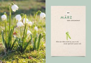 Wolf-Dieter Storl: Mein Gartenkalender 2025 