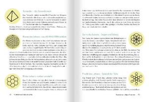 Roswitha Stark: Medizin zum Aufmalen: Heilen mit Zeichen und Symbolen. Das Basisbuch Neue Homöopathie 