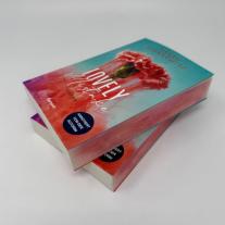 Sarah Stankewitz: Lovely Mistake (Bedford-Reihe 2) 