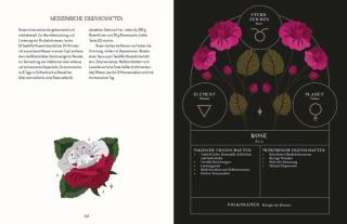 Lindsay Squire: Die Magie und Folklore der Pflanzen und Kräuter 