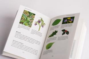 Manuel Larbig: Mein Wildkräuter-Guide 