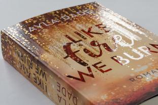 Ayla Dade: Like Fire We Burn 