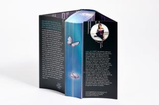 Franca Fritz, Heinrich Koop, Callie Hart: Quicksilver - Tochter des Silbers. Gefangener der Schatten 