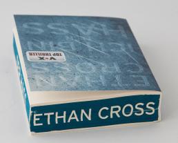 Ethan Cross, Dietmar Schmidt: Ich bin der Hass 