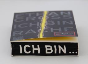 Dietmar Schmidt, Ethan Cross: Ich bin die Rache 