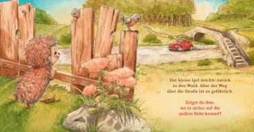 Sophie Schoenwald, Nadine Reitz: Schlaf schön, kleiner Igel 