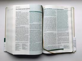 Joyce Meyer: Die Bibel mit Impulsen von Joyce Meyer, Kunstlederausgabe 