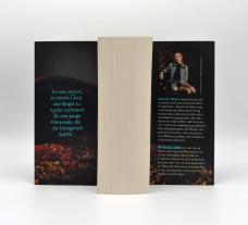 Michaela Link, Sarah J. Maas: Throne of Glass – Herrscherin über Asche und Zorn 