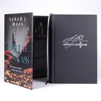 Michaela Link, Sarah J. Maas: Throne of Glass – Herrscherin über Asche und Zorn 