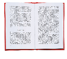 Arne Semsrott: Machtübernahme 