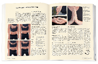 Inge Schöps: Yoga - Das große Praxisbuch für Einsteiger & Fortgeschrittene 