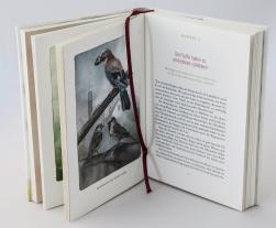 Johanna Romberg, Florian Frick: Federnlesen 