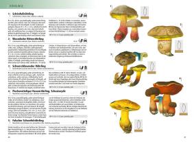 Andreas Gminder, Peter Karasch, Erhard Ludwig: Das Kosmos-Handbuch Pilze 