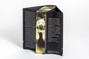 Nadine Pauli, Julia Schwenk, Sable Sorensen: Dire Bound 
