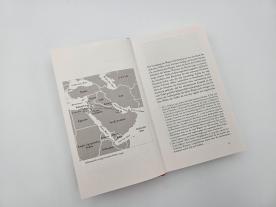 Mike Hiegemann, Thomas Meyer, Hannah Arendt: Über Palästina 
