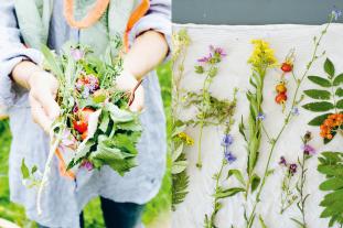 Leoniek Bontje, Yvet Noordermeer: Wildpflanzen essen 