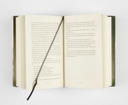 Julia Dippel: Izara 3: Sturmluft 