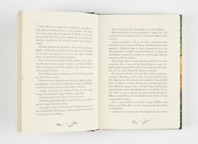 Sabine Bohlmann, Simona Ceccarelli: Ein Mädchen namens Willow 2: Waldgeflüster 