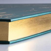 Walt Disney: Disney: Das große goldene Buch der Abenteuer-Geschichten 