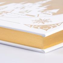 Constanze Steindamm, Walt Disney: Disney: Das große goldene Buch der Eiskönigin-Geschichten 