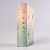 Ayla Dade: A Vow of Light and War (Element Academy 1) 