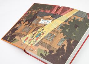 Margit Auer, Nina Dulleck: Die Schule der magischen Tiere 5: Top oder Flop! 