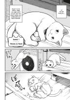 Martin Gericke, Yuri Sonoda: Hachi & Maruru – Streuner halten zusammen! 1 