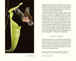 Volker Arzt: Kumpel und Komplizen 