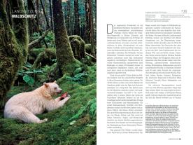 Paul Hawken: Drawdown - der Plan 