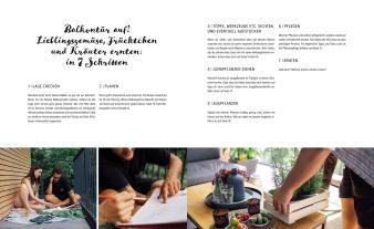 Fühl dich Löwenzahn: Dein fantastischer Balkongarten 