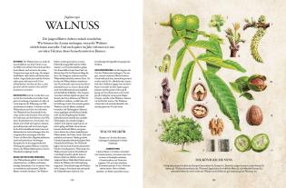 Karin Buchart, Miriam Wiegele, Andreas Leitner: Die Natur-Apotheke 