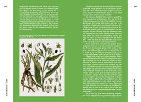 Erwin Thoma: Strategien der Natur 