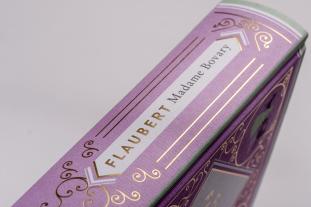 Gustave Flaubert: Gustave Flaubert, Madame Bovary 