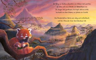 Rachel Bright, Jim Field: Kleine Pandas, großes Versprechen 