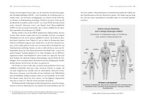 Stacey Colino, Shanna H. Swan: Count down – Was uns immer unfruchtbarer macht 