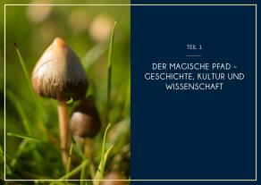 Mary Dannehl, Philip Rebensburg: Microdosing mit Psilocybin 