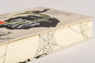Sigrun Zühlke, Christina Henry: Die Chroniken von Peter Pan - Albtraum im Nimmerland 