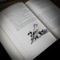 Cornelia Funke: Tintenwelt 3. Tintentod 