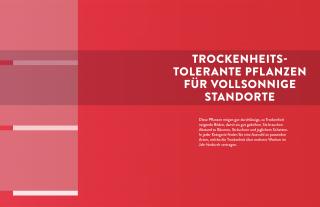 Aurélien Davroux: Wächst fast ohne Wasser 