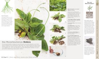 Andrew Mikolajski, DK Verlag: Permakultur für Einsteiger 