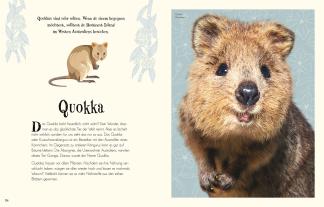 Eva Sixt, Ben Hoare, Daniel Long, Angela Rizza, Daniela Terrazzini, DK Verlag - Kids: Wundervolle Welt der Tiere 